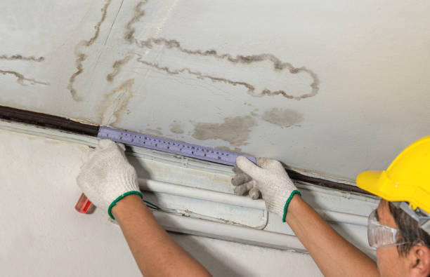 Reliable Basement Water Removal contractor in Colorado Springs, CO by Water Damage Irwin
